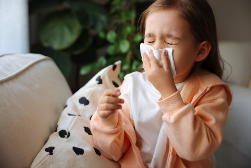 How Your HVAC Equipment Protects Against Viruses
